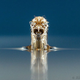 Illustration for article titled Reframe Roundup: This Weeks Best Photography Posts